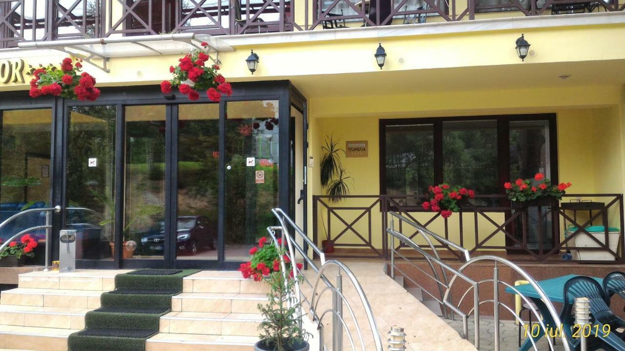 Pension Condor Poiana Brasov Εξωτερικό φωτογραφία