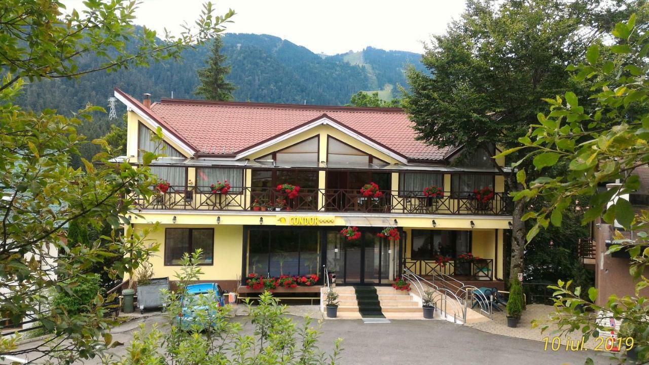 Pension Condor Poiana Brasov Εξωτερικό φωτογραφία